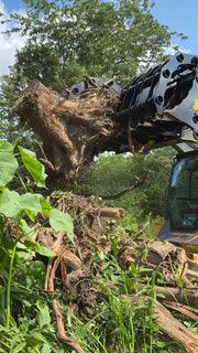 Machine uprooting a tree trunk in forested area