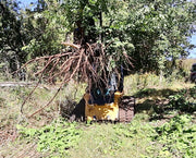 Tree Puller uprooting large tree and roots in field